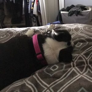 Meet your Posher, Ryan